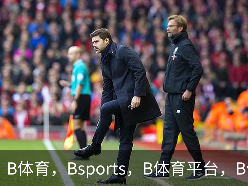 了解B体育，Bsports，B体育平台，B体育下载